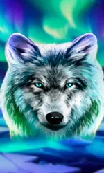 Wolf Fang - Northern Spirits